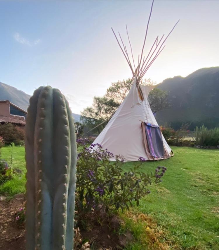 Sonqo Andino Hospedaje Medicina Pisac Exterior photo